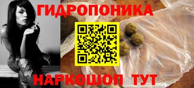 шишки Боровичи