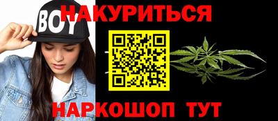 Альфа ПВП Малгобек