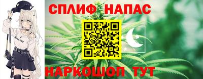 Альфа ПВП Малгобек
