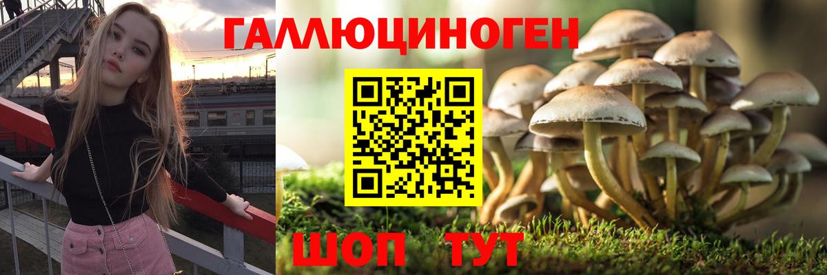 Вышний Волочёк  дарнет шоп  Вход с VPN  Галлюциногенные грибы GOLDEN TEACHER 