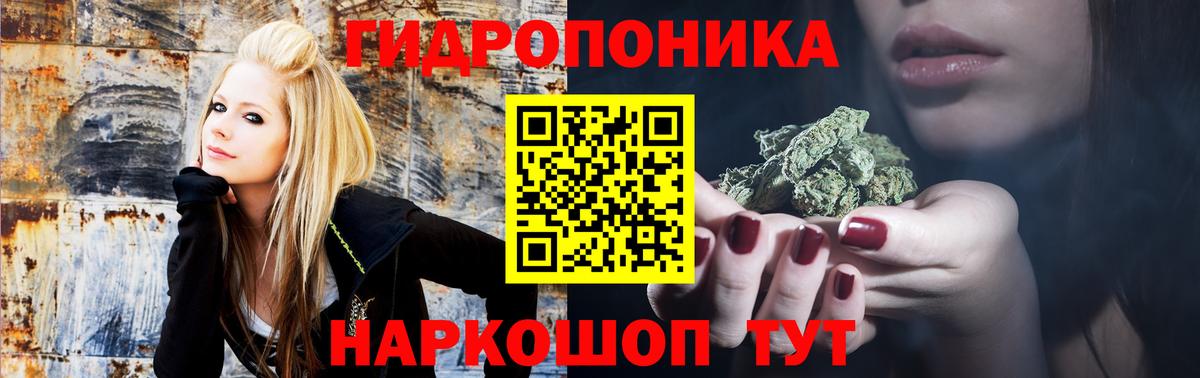 Каннабис конопля  Канабис VHQ  Вышний Волочёк  Вход с VPN  Каннабис планчик 